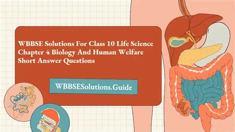 Wbbse Solutions For Class Life Science Chapter Biology And Human