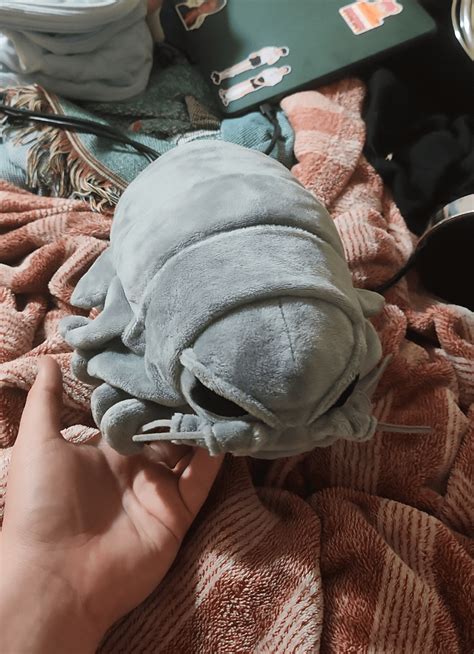 GIANT ISOPOD PLUSHIE !!! : r/isopods