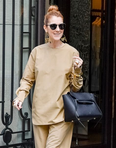 The Many Bags Of Céline Dion Purseblog