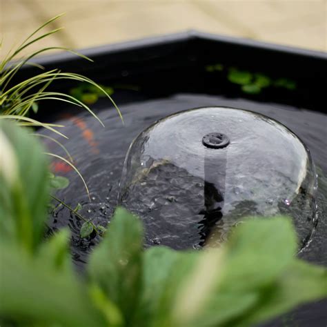 Raised Window Pond Half Moon Mocha Pennington Aquagarden