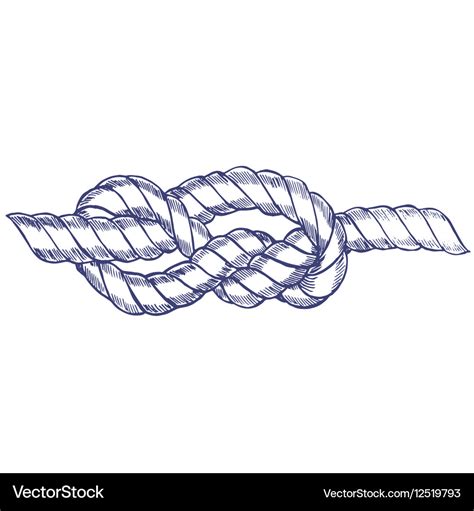 Sea Knot Rope Hand Draw Sketch Royalty Free Vector Image