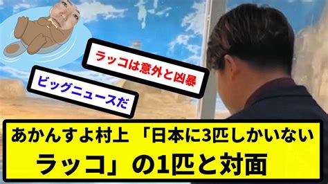 【そこはsbじゃなくて水族館っすよ！】あかんすよ村上 「日本に3匹しかいないラッコ」の1匹と対面【反応集】【プロ野球反応集】【2chスレ】【5chスレ】