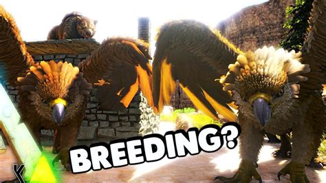 Ark Survival Evolved Griffin Taming Can You Breed Mate A Griffin