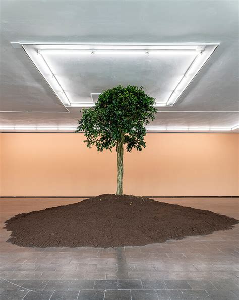 Marianne Berenhaut Der Baum Des Berlebens Weltkunst