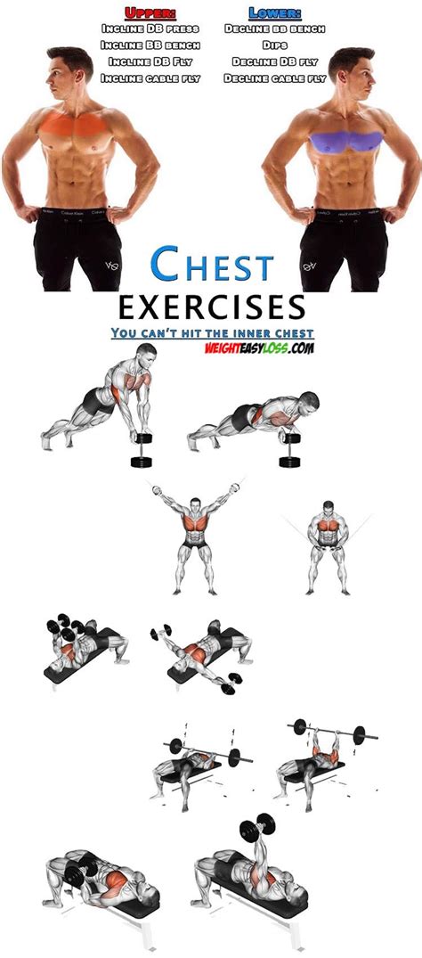 Lower Chest Exercises No Equipment