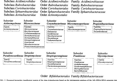 Figure 2 from Proposal for a New Hierarchic Classification System ...