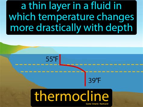 Thermocline Definition & Image | GameSmartz