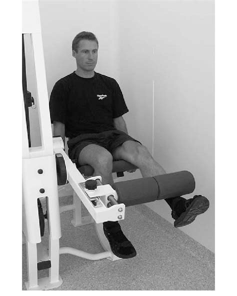 Isotonic Weight Training Machines For Knee Extension Used In The Test