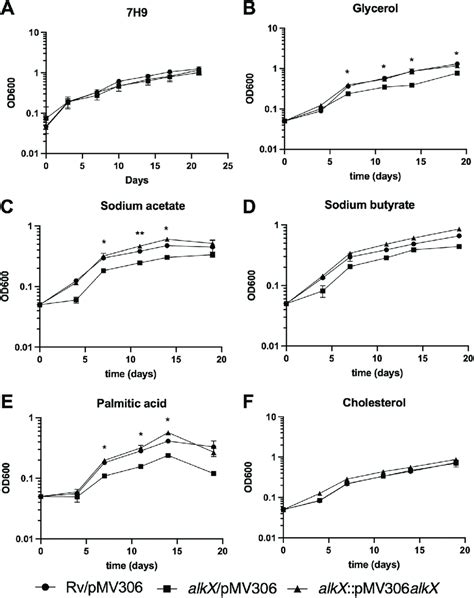 The Alkx Mutant Had Growth Defects In Specific Carbon Sources A