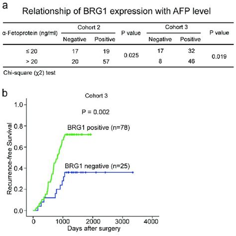 BRG1 Expression Was Significantly Correlated With Cancer Progression