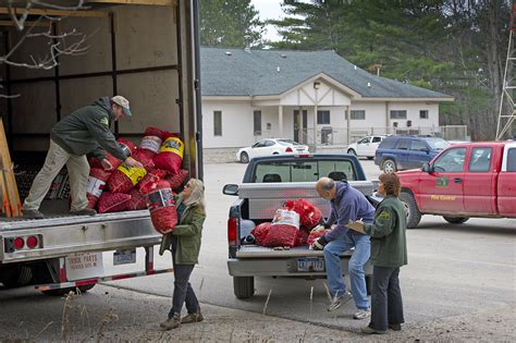 Showcasing The Michigan Dnr Turning Pine Cones Into Profit Helping To