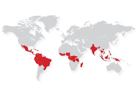 Growing Cocoa - International Cocoa Organization