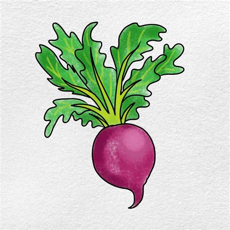 Cute Radish Coloring Page Outline Sketch Drawing Vector Radish Drawing