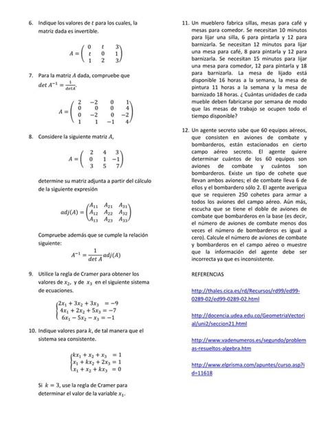 Taller 3 Algebra Lineal Determinantes PDF