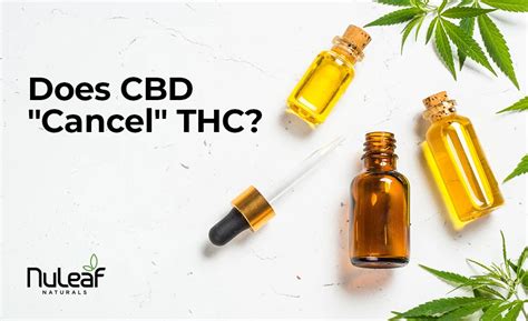 Cbd Information Nuleaf Naturals Blog