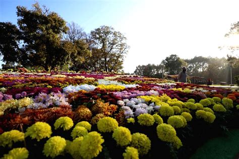 Pakistan Islamabad Autumn Flower Show