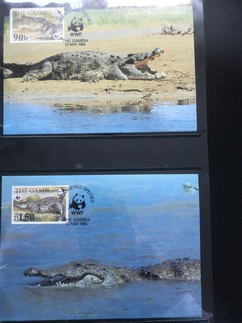 Gambia 1984 Satz WWF Nilkrokodil Maximumkarten Kaufen Auf Ricardo