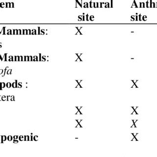 Diet of Canis anthus in natural and anthropized sites | Download ...