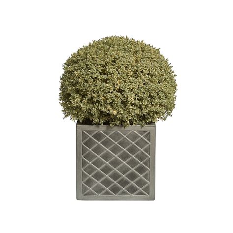 Large Square Lazio Planter Strata Products Limited