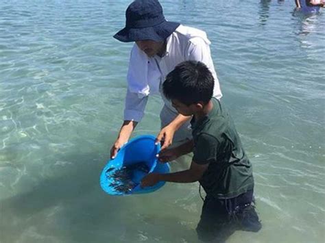 Liberan 40 mil crías de pez totoaba en aguas del Mar Cortés Excélsior