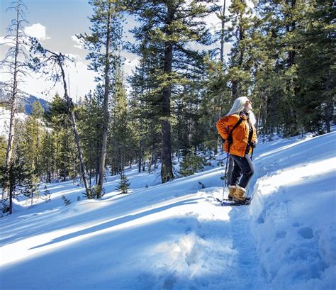 10 best Utah ski resorts within an hour from Salt Lake airport - Lonely Planet