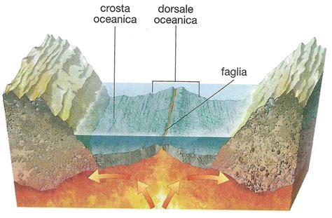 Espansione Dei Fondali Oceanici Spiegata In Modo Semplice Studia Rapido