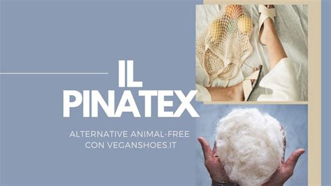 Pi Atex Cos E Come Viene Utilizzato Veganshoes It Blog