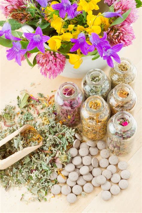 Different Healing Herbs in Glass Bottles, Flowers Stock Image - Image ...