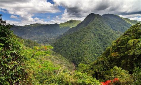 Know Before You Go Visiting El Yunque National Park Puerto Rico