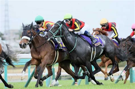 【桜花賞2024】重賞レースおさらい帳 良血開花は桜と共に ステレンボッシュが桜花賞を制す｜競馬ニュース｜競馬予想のウマニティ