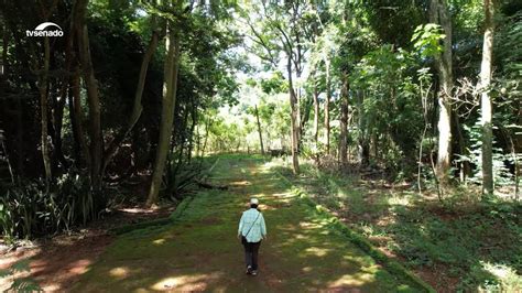 Caatinga Bioma Exclusivamente Brasileiro Sofre Processo De