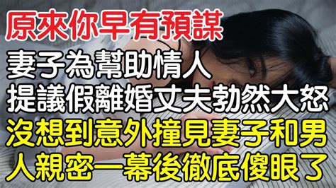 原來你早有預謀！，妻子為幫助情人提議假離婚丈夫勃然大怒，沒想到意外撞見妻子和男人親密一幕後徹底傻眼了！｜情感｜男閨蜜｜妻子出軌｜沉香醉夢