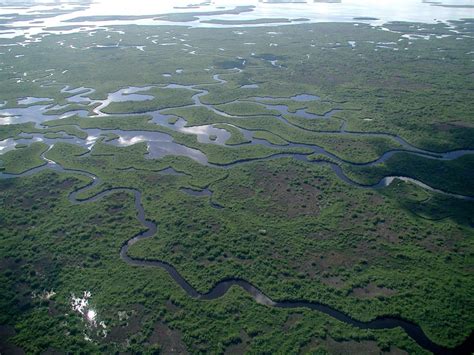 Top 10 Astonishing Facts About Everglades National Park Discover