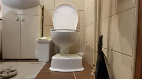 POV Sneaky Pussy View On Toilet MrsBlack Store Clips Sale