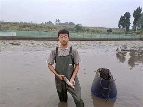 通过国家级验证 内江白乌鱼等特色水产有了看病救护的专业医院 四川在线