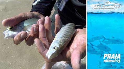 Pesca De Praia Em Niteroi RJ Portal Pesca Amadora Esportiva