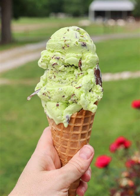 Mint Chocolate Chip Ice Cream Barefeet In The Kitchen