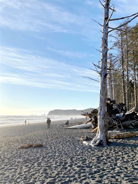 The Perfect Olympic National Park Itinerary: 2-Day Guide with Tons of Tips