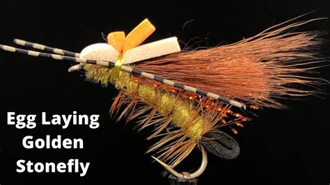 Egg Laying Golden Stonefly Fly Tying Vise Squad S E Goes To