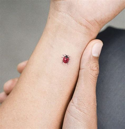 Magnificent Ladybug Tattoos Designs Tattoosboygirl Lady