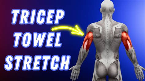 How To Use A Towel For Effective Tricep Stretches Stretching Tip