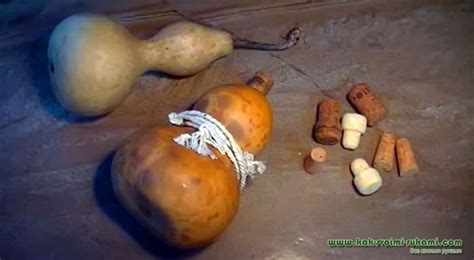 фляга из тыквы своими руками | Fruit, Pear, Vegetables