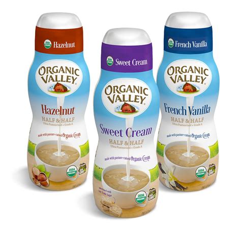 Organic Hazelnut Coffee Creamer Recipe – Besto Blog