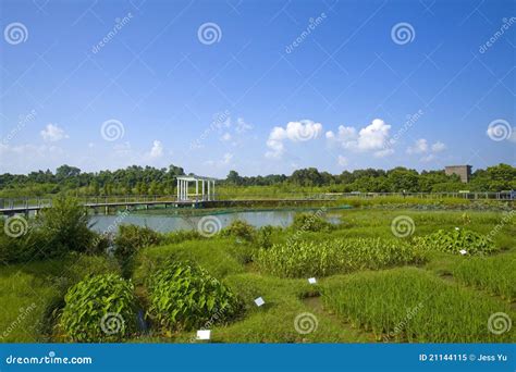 Hong Kong Wetland Park stock image. Image of hongkong - 21144115