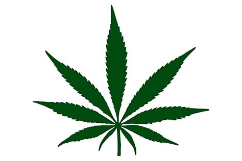 Cannabis Weed Leaf Vector Png Images Cannabis Leaf Icon Simple Style