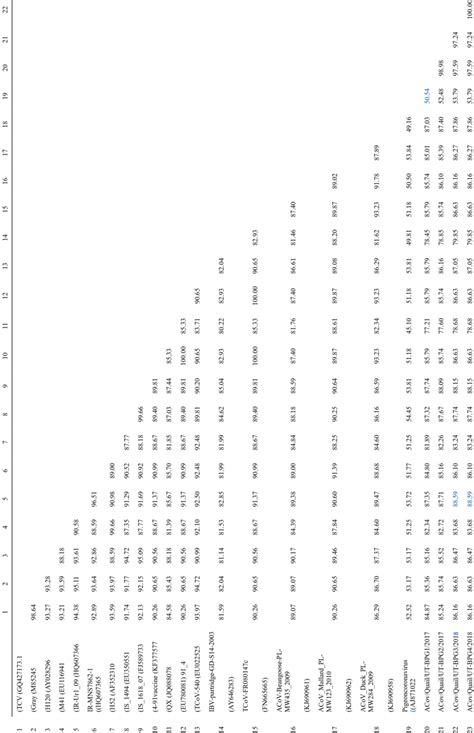 Identity Percentage Of The N Gene Nucleotide Sequences Of Download