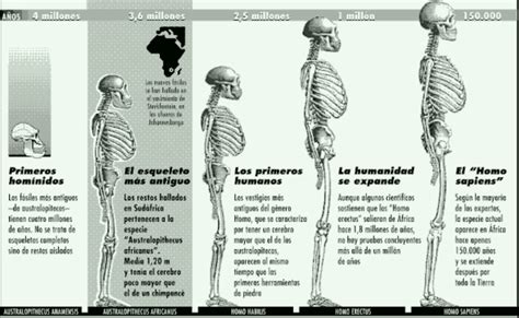 SOCIALES 6 y 7 2 Lección Los homínidos 2 Lección Los homínidos