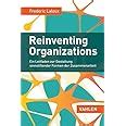 Reinventing Organizations Visuell Ein Illustrierter Leitfaden