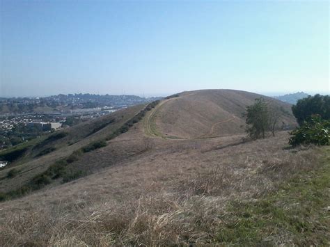 Ascot Hills - LA Trail Hikers