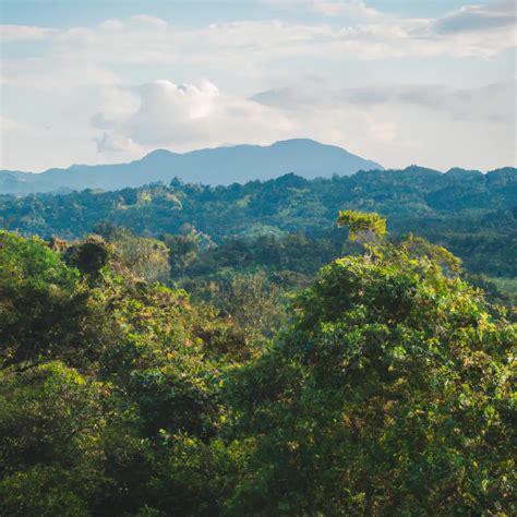 National Coffee Park - Quindio In Colombia: Overview,Prominent Features ...